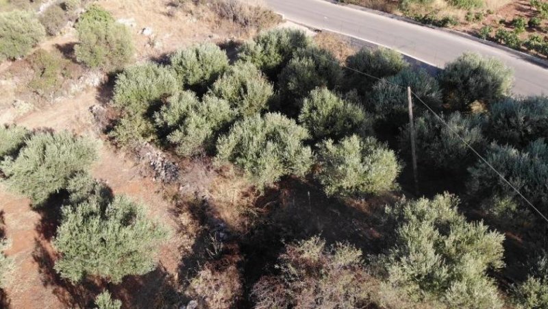 Xirosterni Kreta, Xirosterni: Grundstück in ruhiger Lage mit Berg- und Meerblick zu verkaufen Grundstück kaufen